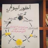 Biology for the sixth scientific year