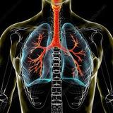 Respiratory BNS