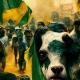 Canal do POLITIMIZANDO