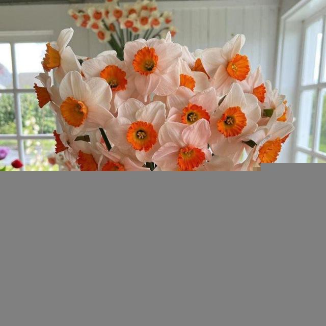 Куръон тафсири 🌺