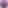 Ninjagram