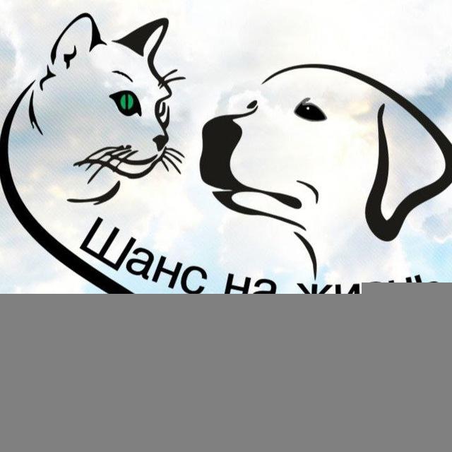 ШАНС НА ЖИЗНЬ🐶🐈