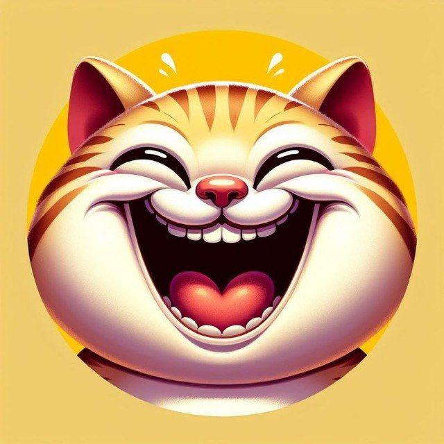 Кошки🔸 котики🔸коты🔸котята
