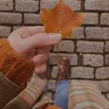 أيـلول🍁