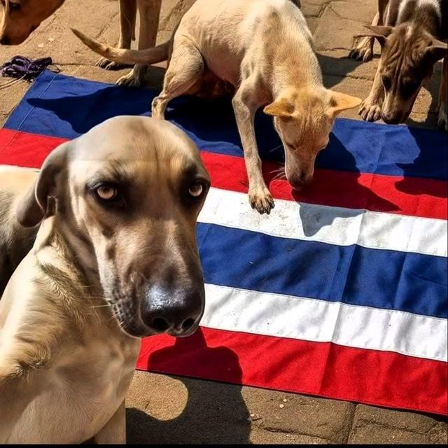 Group ដៀលក្បាលរាជវង្សថៃ