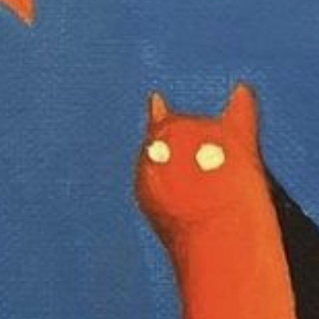 Странный котик