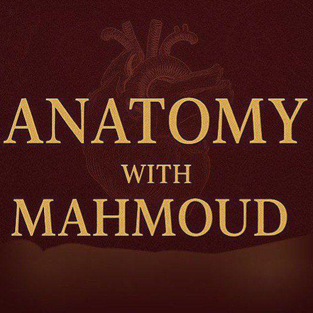 ANATOMY with Mahmoud