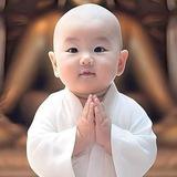 HÌNH ẢNH LÙA GÀ