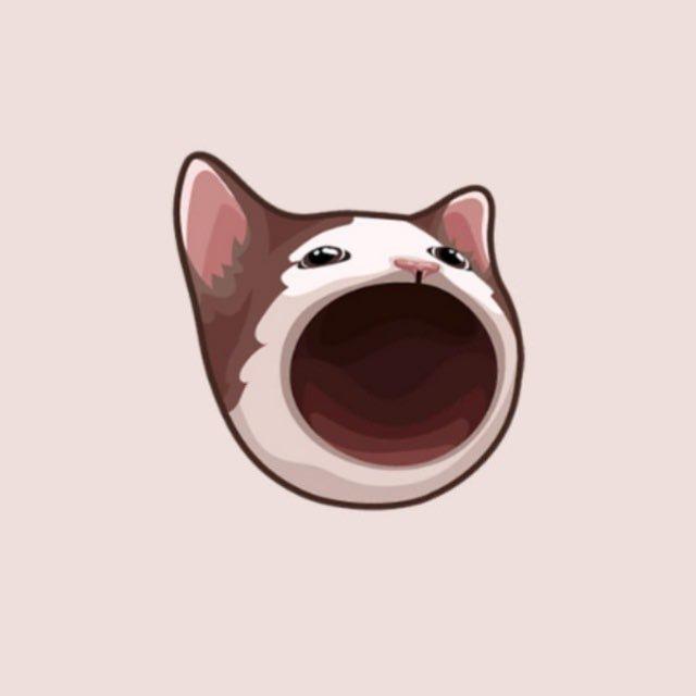 POPCAT | Community Updates