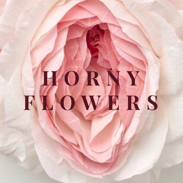 ✨horny flowers✨