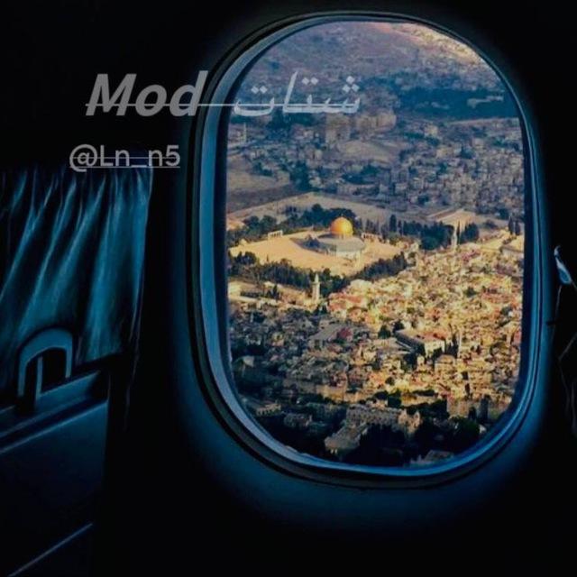 شتات 🇱🇾✈️