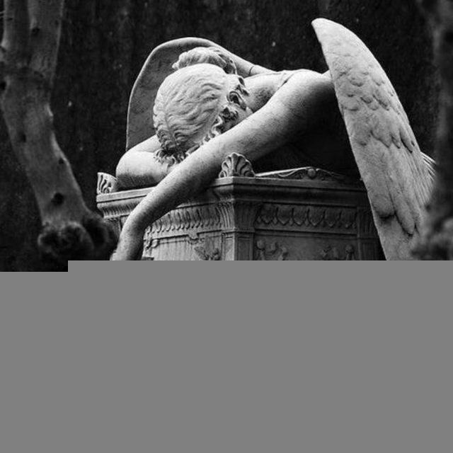 AnGel"
