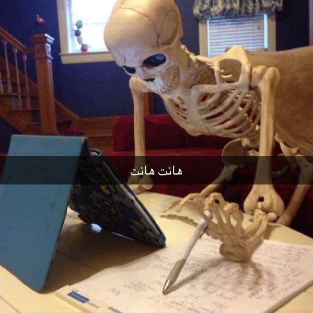 السادس الادبي