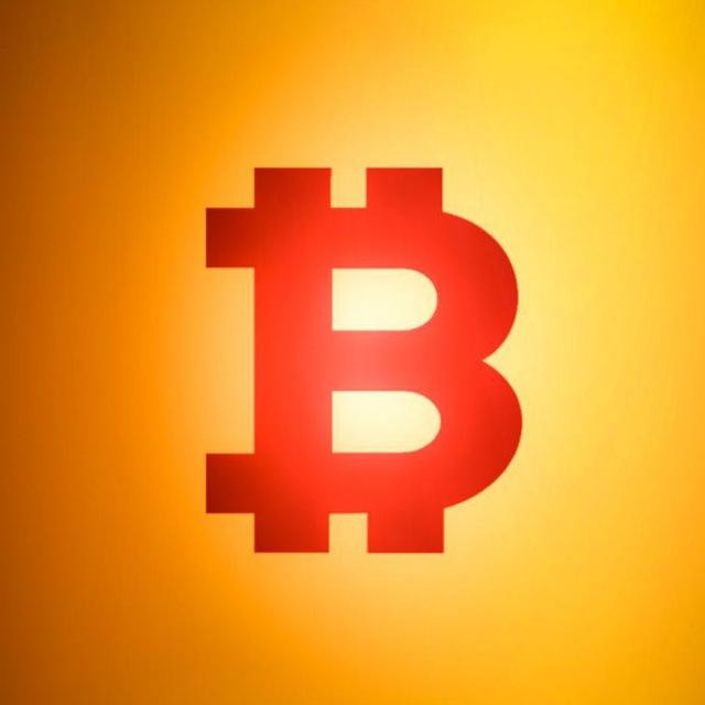 CashWithDave Coin Tipps🚀