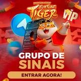 FORTUNE🐯TIGER VIP