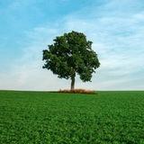 Nature — Travelling & Tourism, Discovery