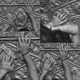 أَشعارُ التَّشَيُّع