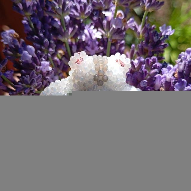 Sjiuaw_beads❀