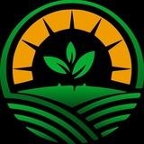 Foodsply Is Open Portal