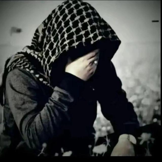 شهداء غزة