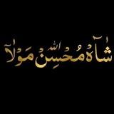 مُشَبِّر