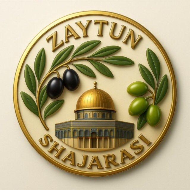 Zaytun shajarasi