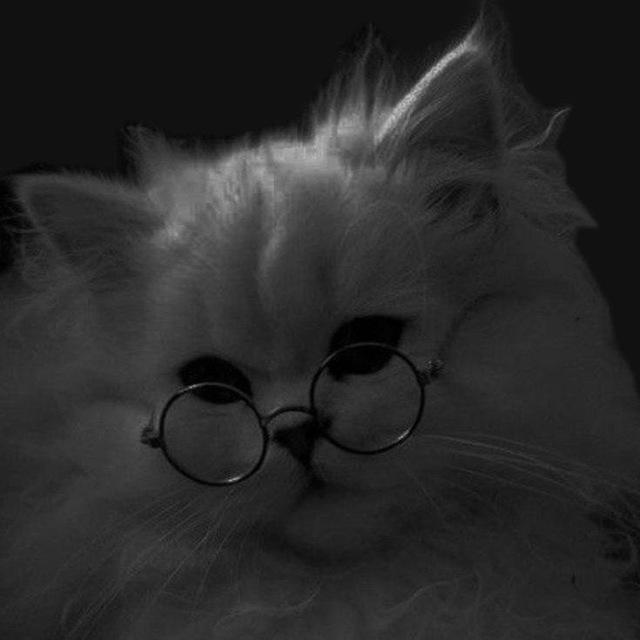 Lix:
