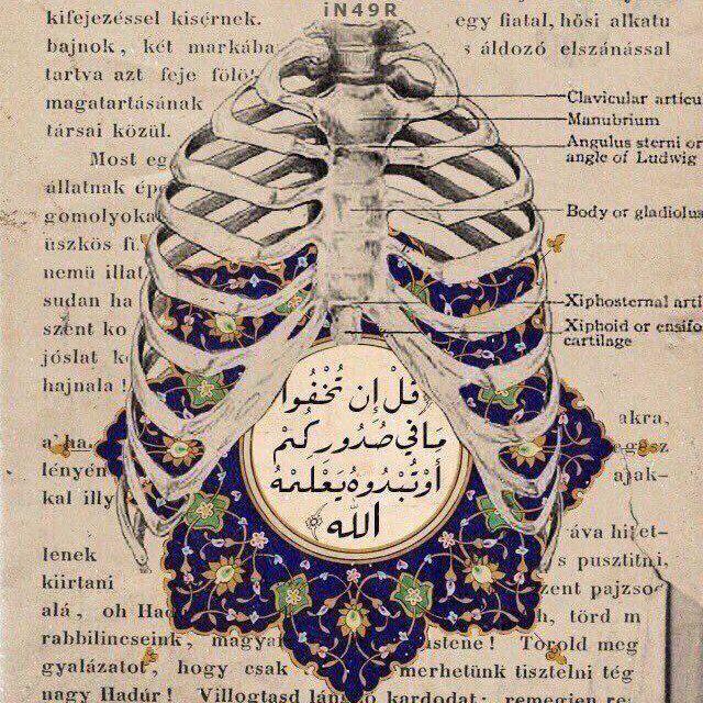 إركـاس
