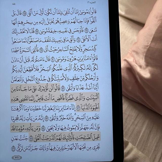 ‏﴿فَاسْتَقِمْ﴾
