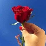 دختران ایران زمین