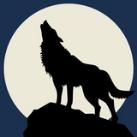 Black Werewolf Announcements