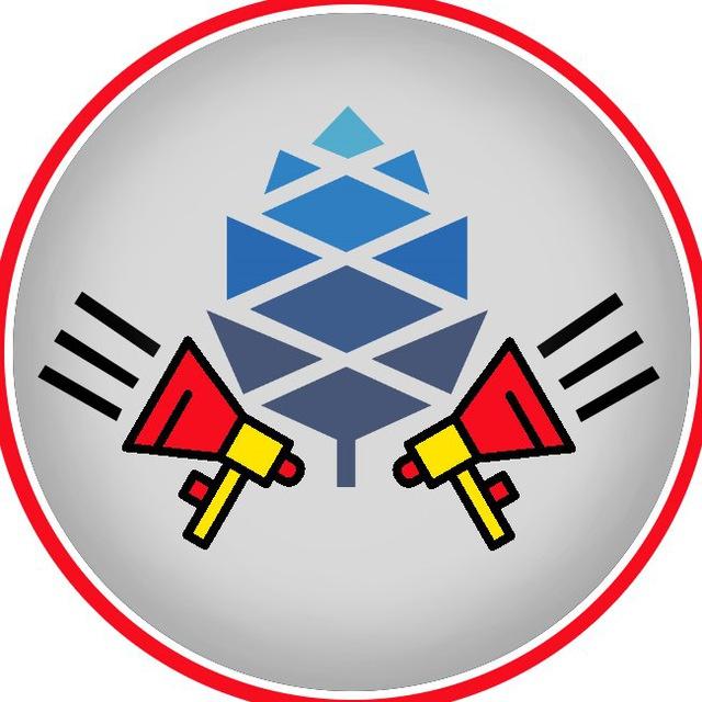 PINE64 News
