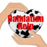 Помощь далматинам | Dalmatian Help