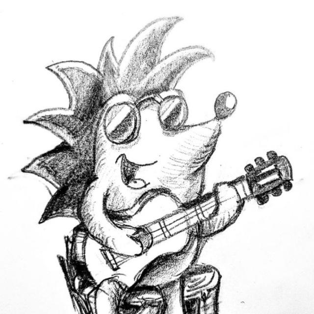 Punk hedgehog