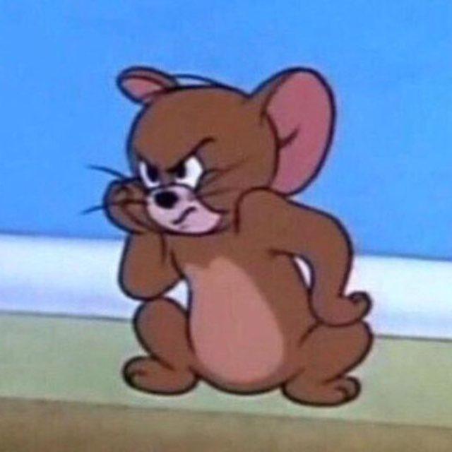 ميمز خاشوكة