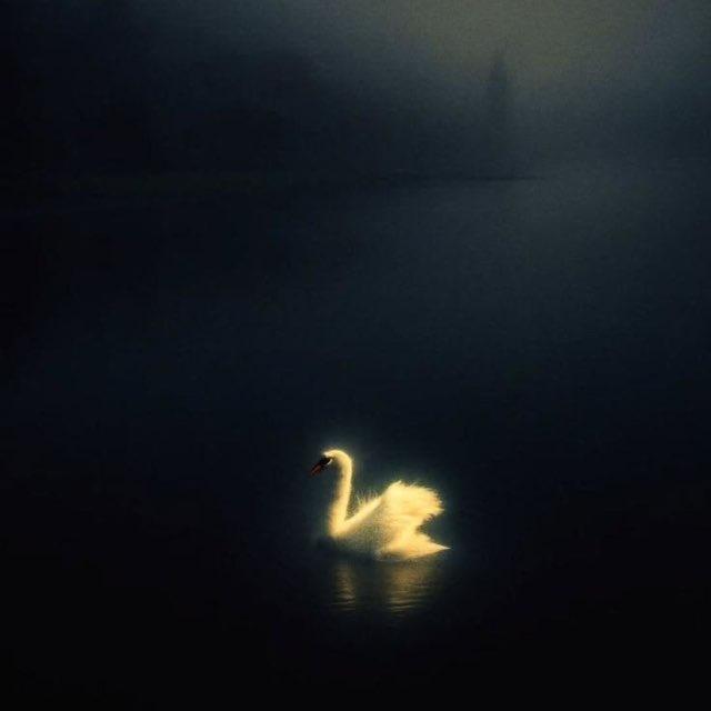 ᷂سَـارلين