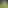 𝗖𝗵𝗮𝗺𝗽𝗶𝗼𝗻𝗲𝘀 || 𝗗𝗿𝗮𝘄 || 𝗛𝗼𝗺𝗲