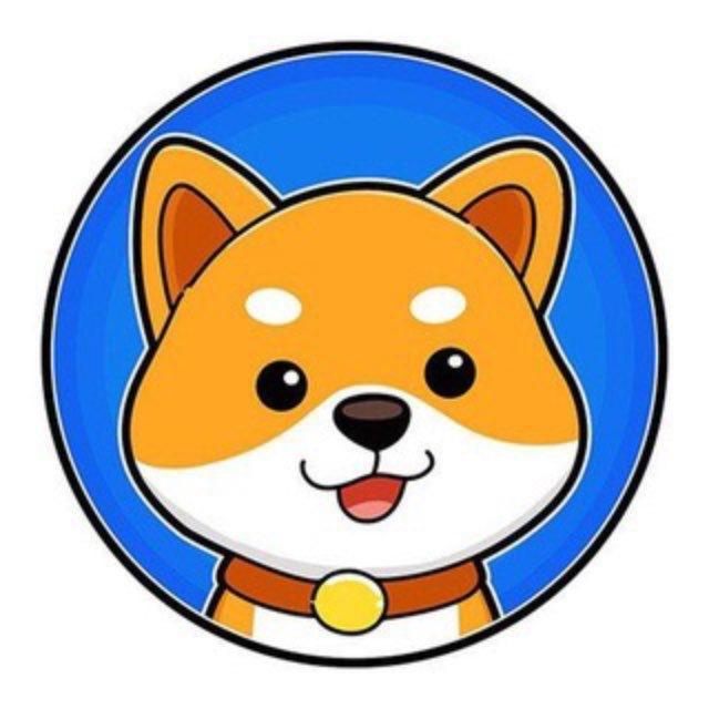 Baby Doge Coin ETH Main