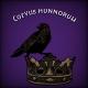 Corvus hunnorum