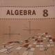 8- sinf algebra javoblari