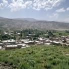 🌲کانال امامقلی🌲