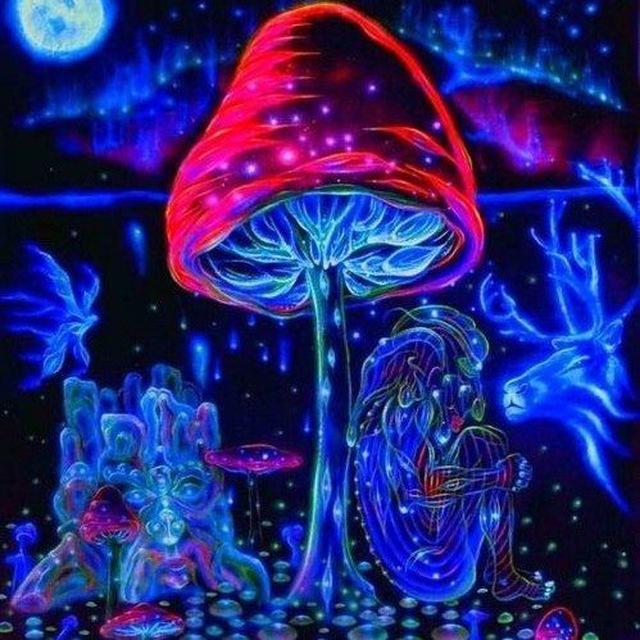 🍄ꂵꁲꁅꂑꀯ ꂵꐇꌚꍩꌅꂦꂦꂵ / ꁴꁲꐇꋰꈼꌅꉣꂑ꒒ꁴꈼ🍄