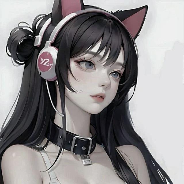 Aivee Cattery 🐈‍⬛ 艾薇本地宠物频道