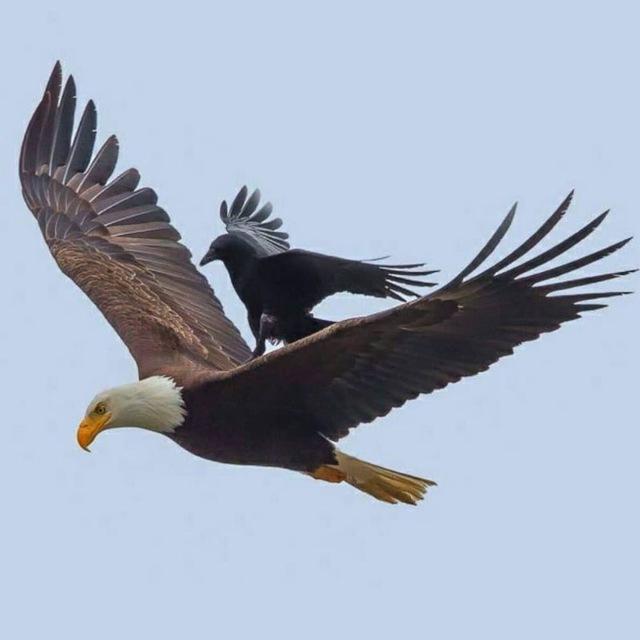 کنکور روان شناسی و مشاوره