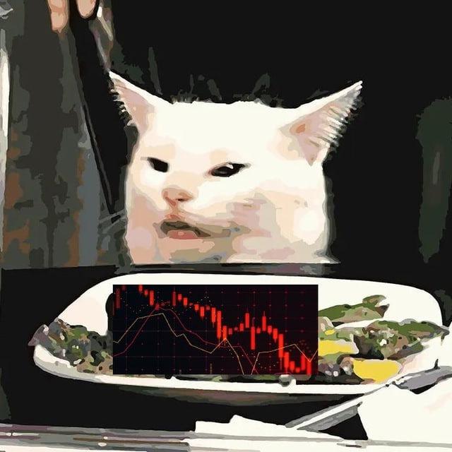 Криптодурка 💊