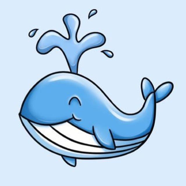 WHALES 100X CALLS