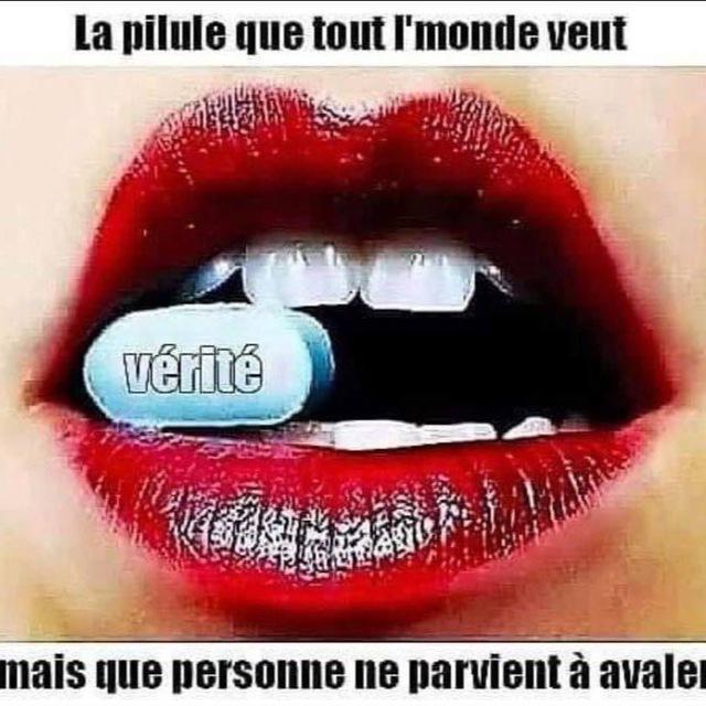 L’éveil 2022
