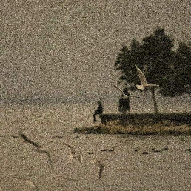 رقعة خاصة