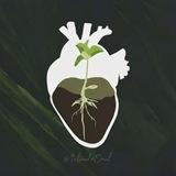 Infinito Soul 🌱 (موسیقی بیکلام)