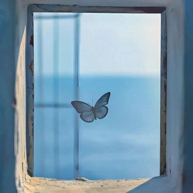 - سَعي